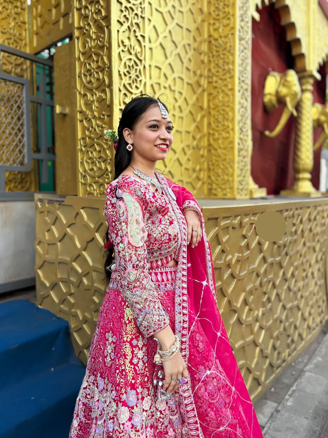 Rani colour premium Coding Sequins work and designer blouse perfect fit for you