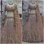 Dusty Brown Soft Net Lehenga Choli with Silver Sequin & Thread Embroidery