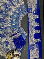 “Royal Blue Butterfly Net Lehenga with Coding Sequins & Peacock Embroidery – Length 42, Blouse up to 5XL”