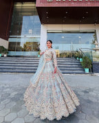 “Pastel Blue Butterfly Net Lehenga with Coding Sequins Embroidery – Length 42, Blouse up to 5XL”