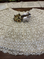 Soft Net Lehenga Choli with Intricate White Thread Embroidery