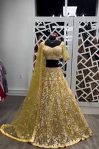 Soft Net Lehenga Choli with Sequins & Floral Embroidery