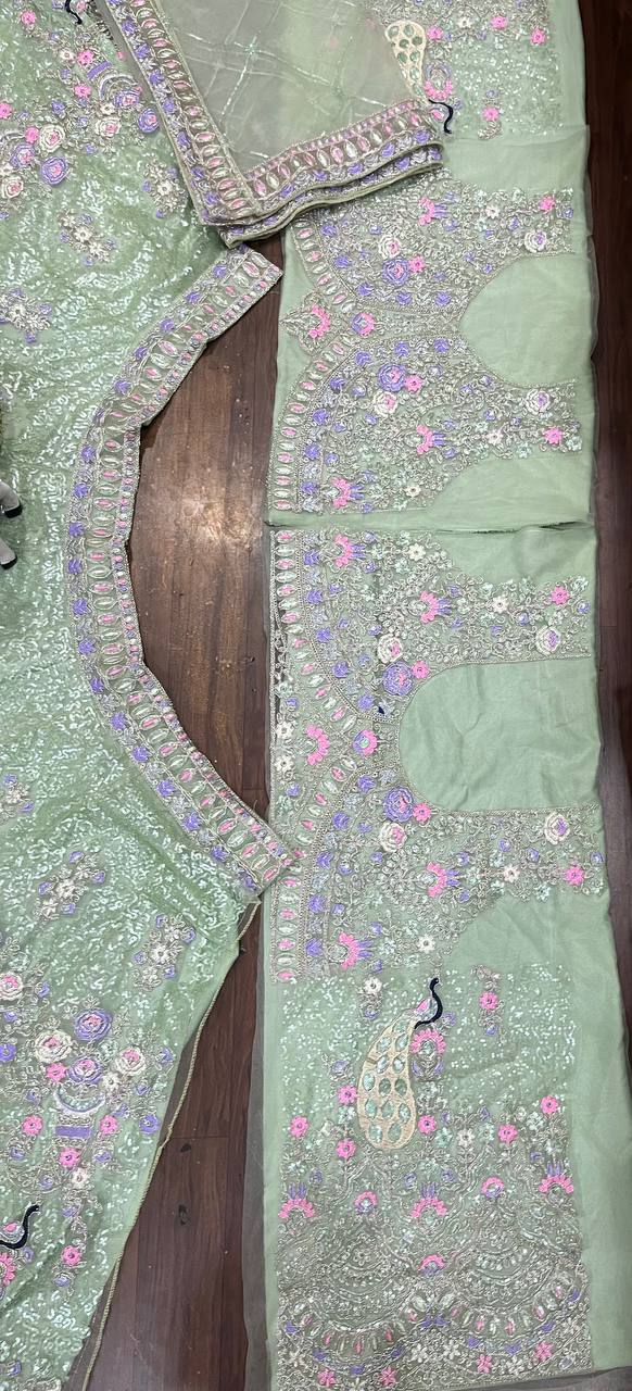 Mint Green Soft Net Lehenga Choli with Peacock and Multi-Thread Embroidery