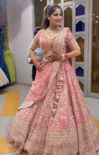 Blush Royale Golden Zari Embroidered Lehenga Choli
