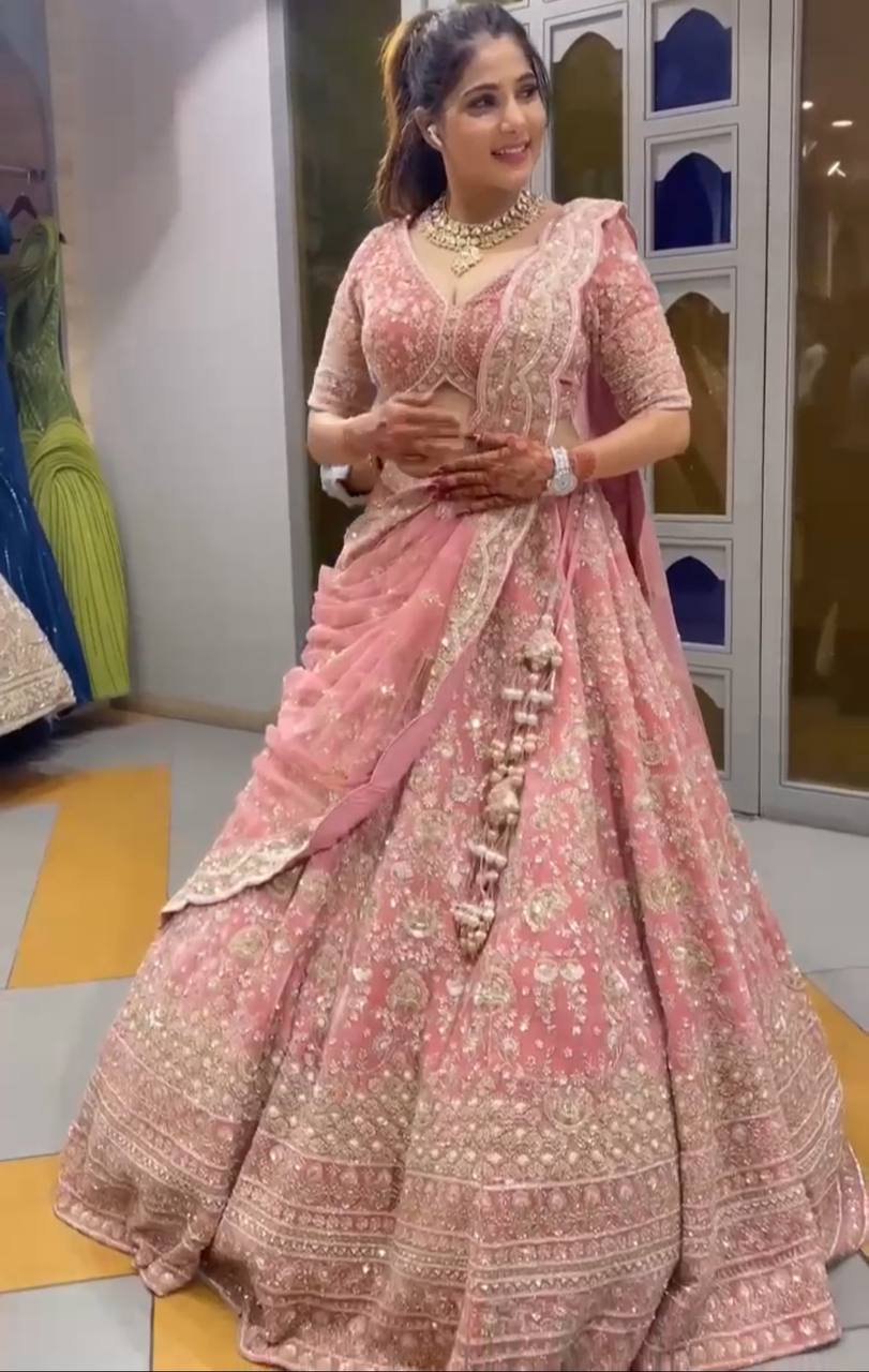 Blush Royale Golden Zari Embroidered Lehenga Choli