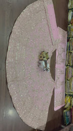 Blush Royale Golden Zari Embroidered Lehenga Choli